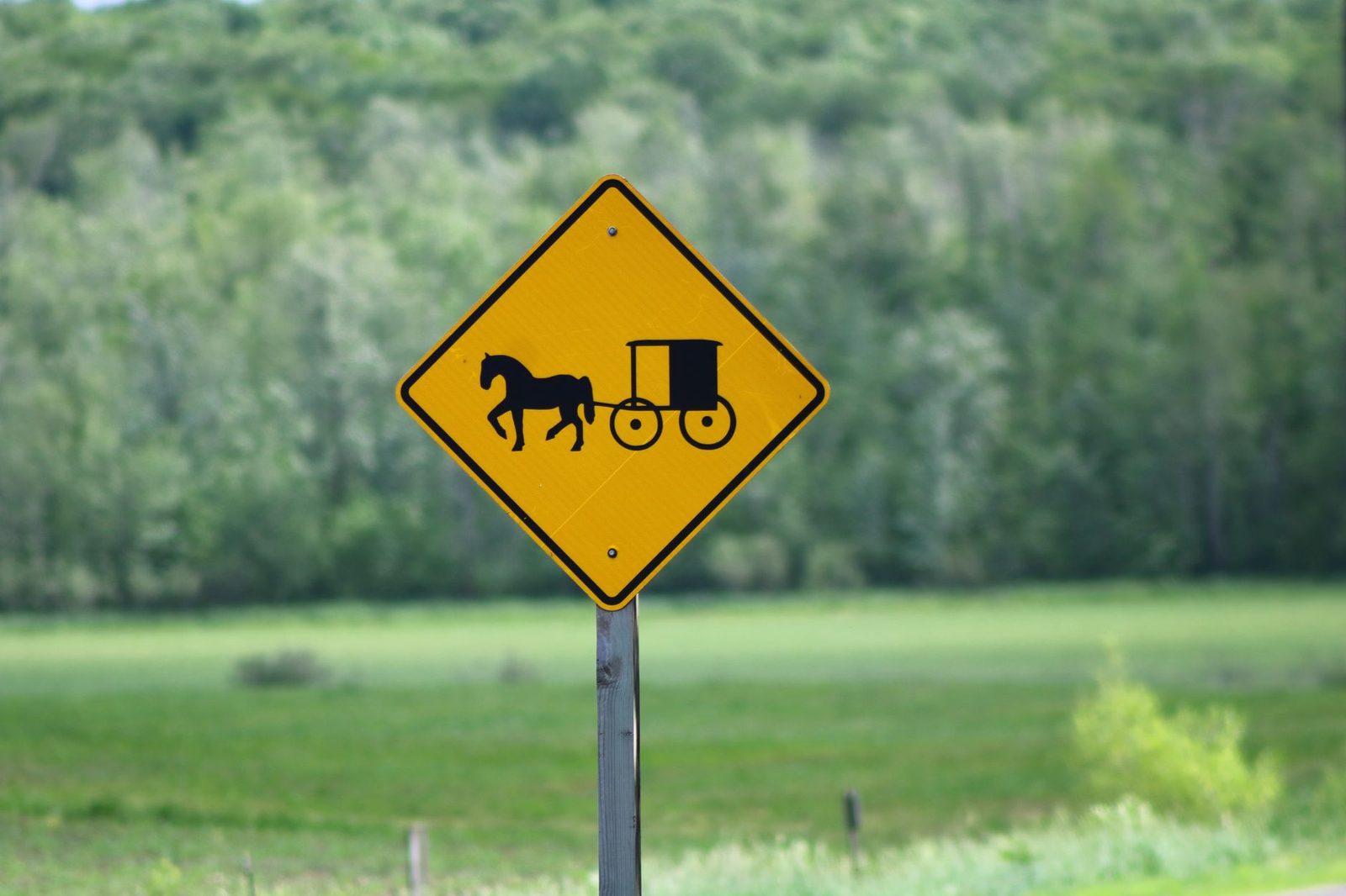 Yellow traffic sign depicting horse-drawn carriage in a lush, green countryside setting.