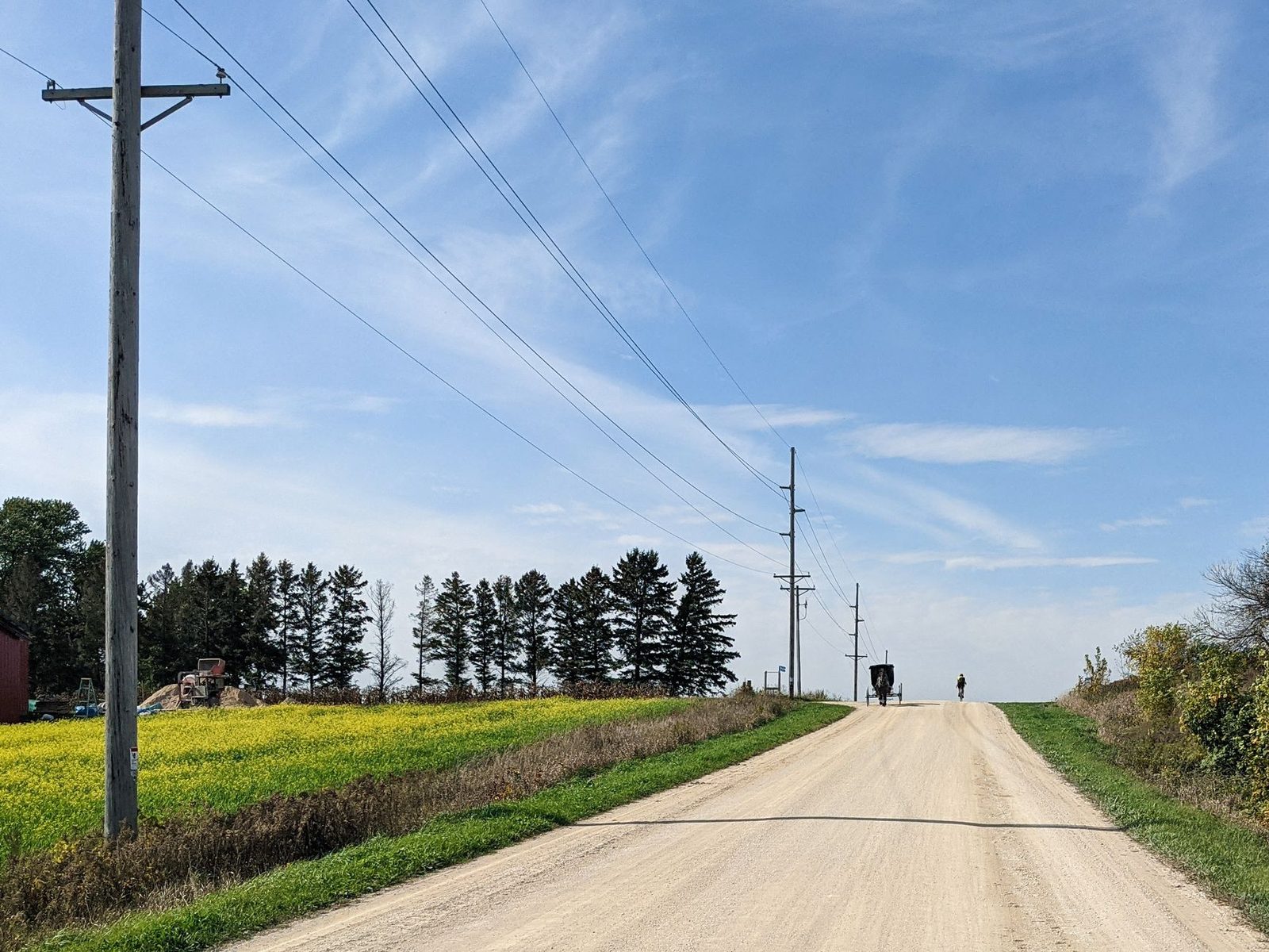 A serene rural landscape with an unpaved road, blue sky, and Amish buggy in Lanesboro.