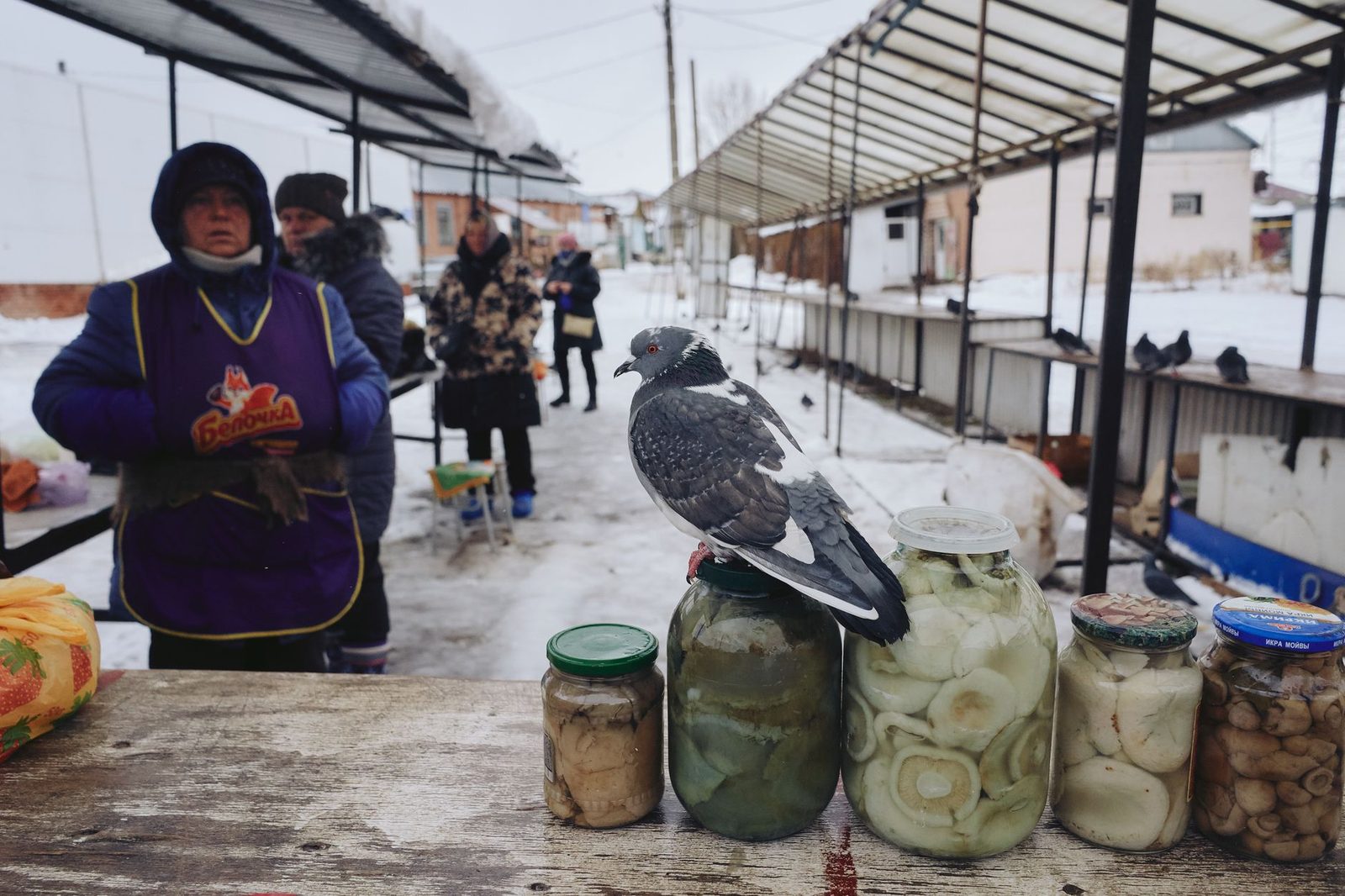Pigeon perched on glass jars at an outdoor winter market with people in the background.