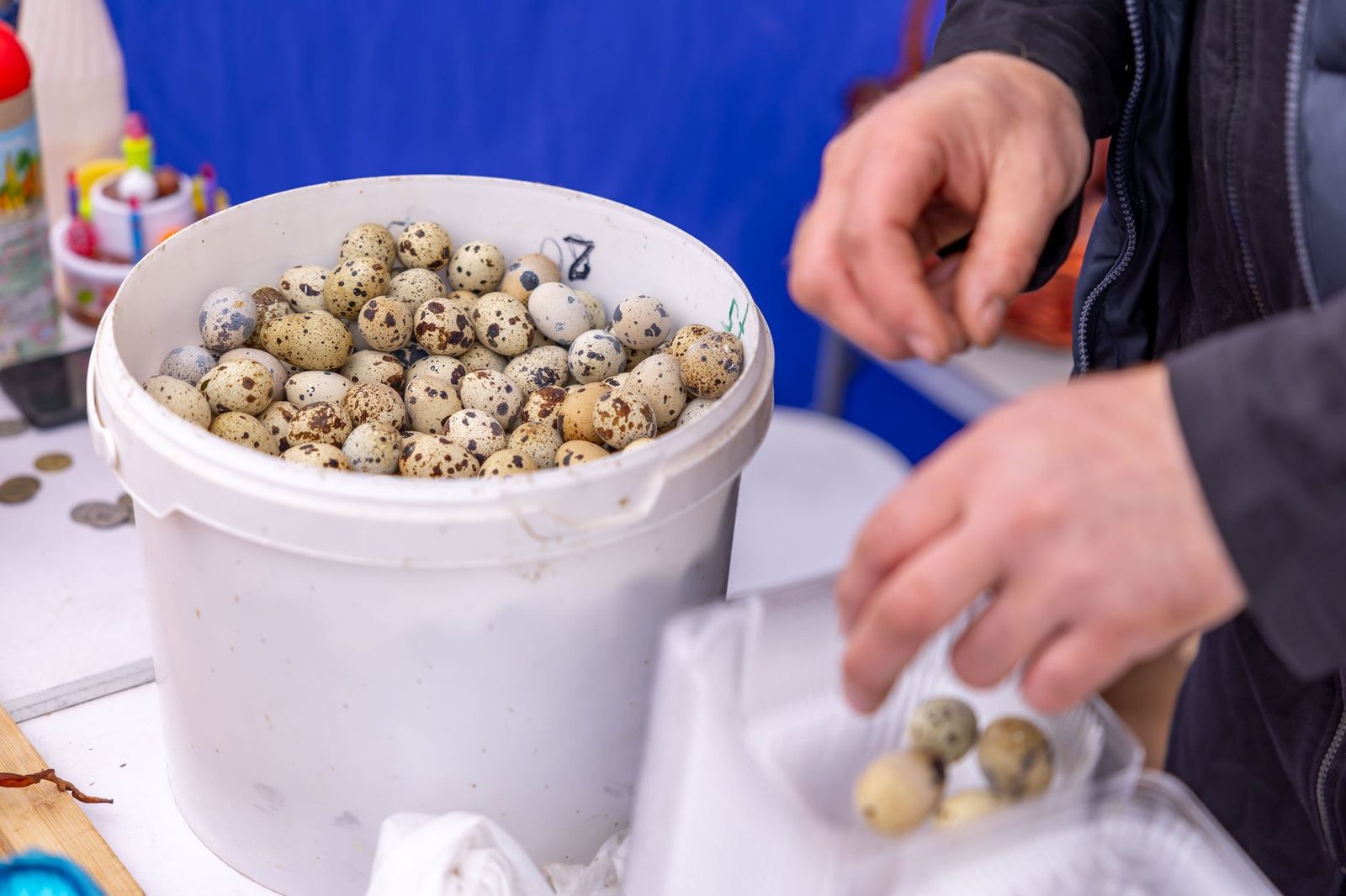 Person arranging quail eggs in a container at a market stall. Fresh and rustic.