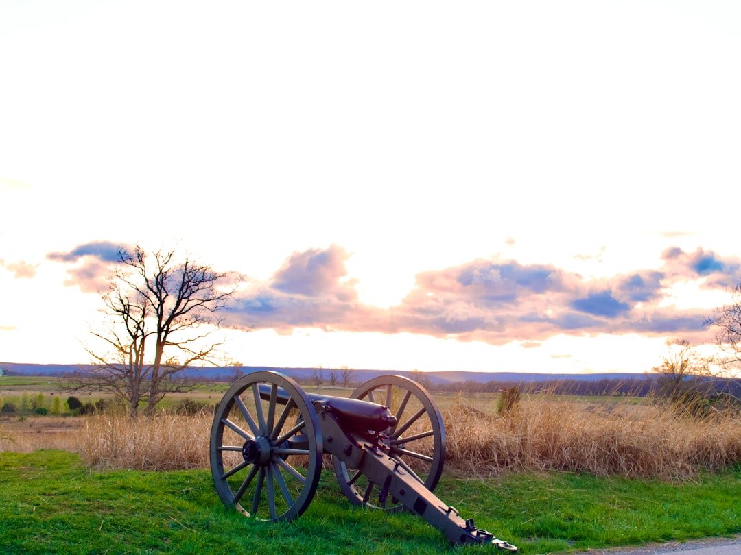 a cannon on a grassy field