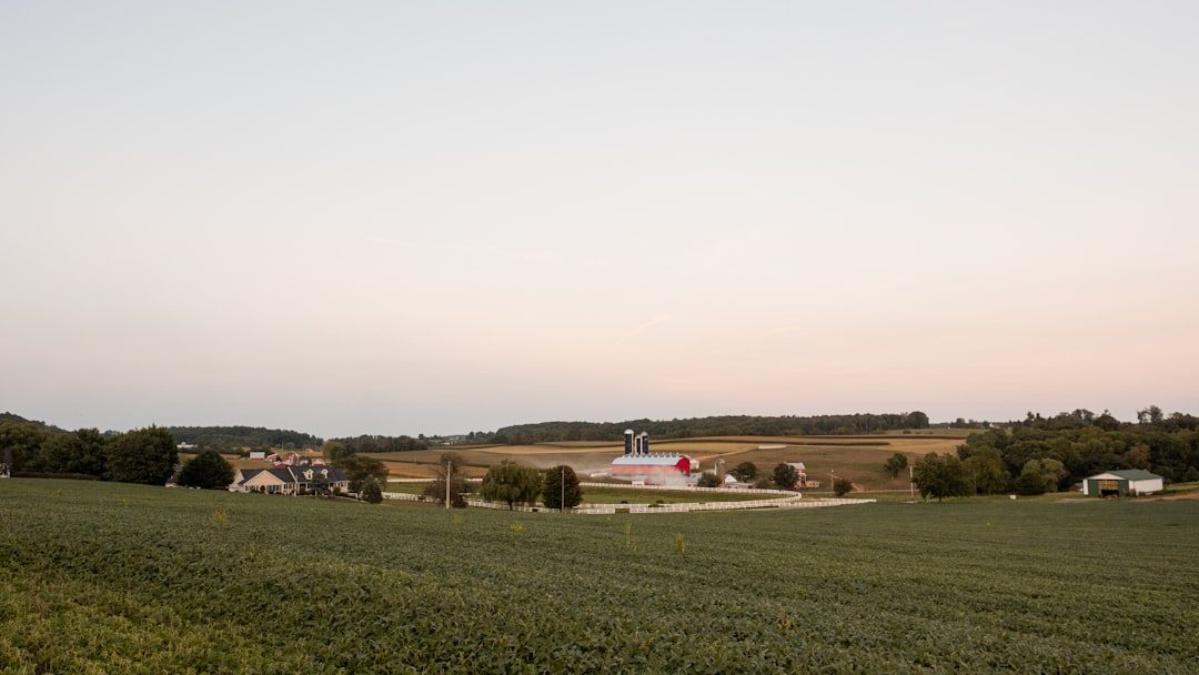 Rural farm with fields and trees under a pale sky